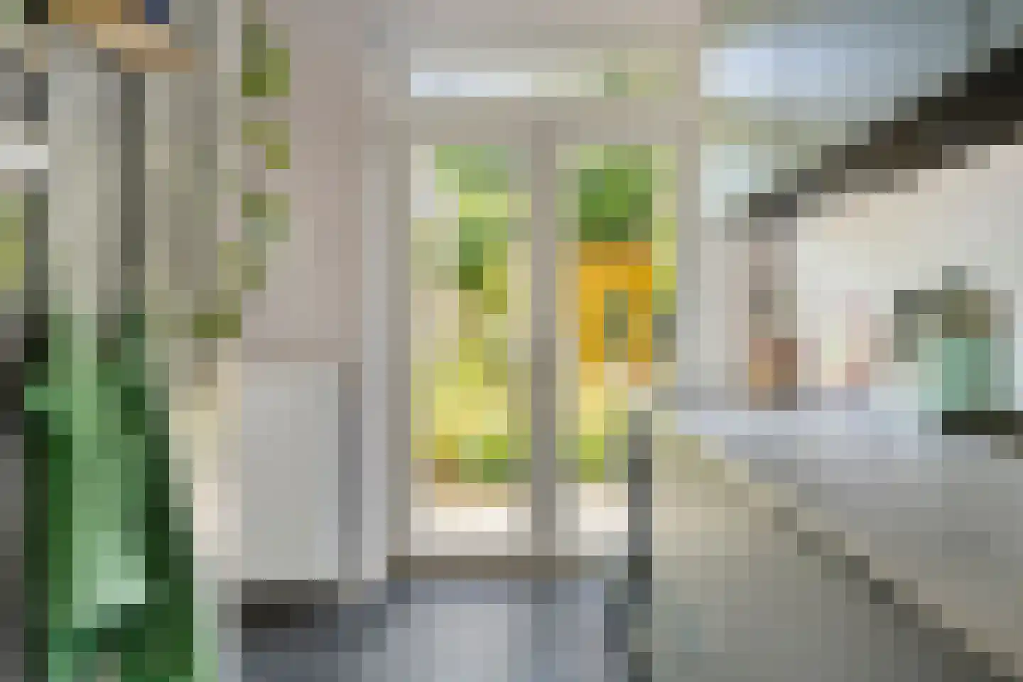 Pieter van den Zandestraat 26 Den Haag thumbnail 12