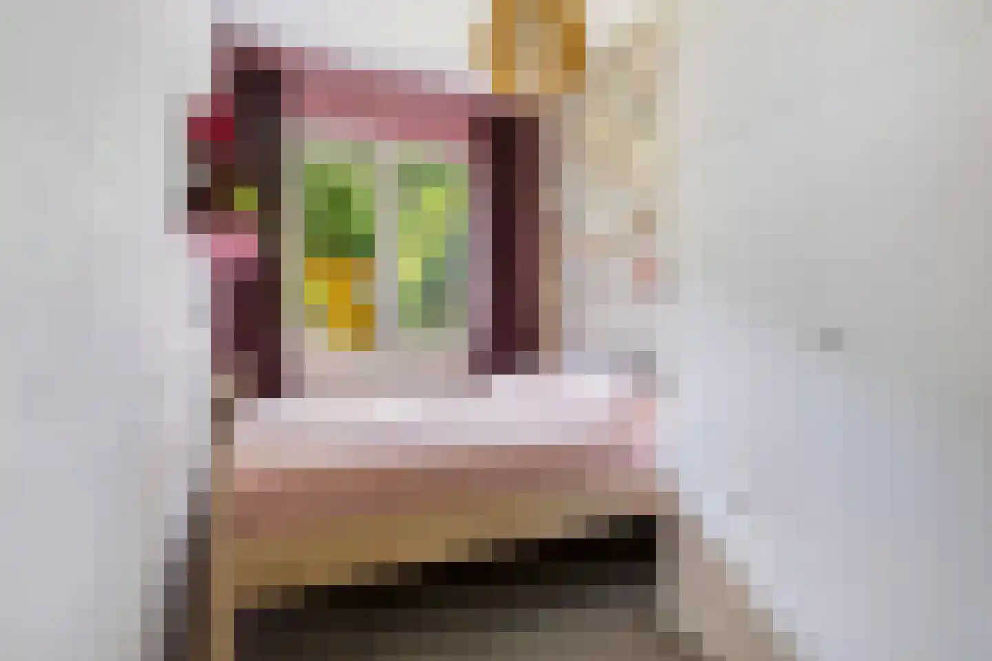 Pieter van den Zandestraat 26 Den Haag thumbnail 13