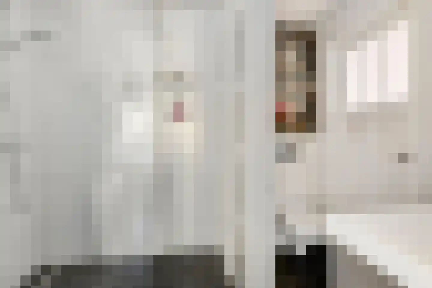 Pieter van den Zandestraat 26 Den Haag thumbnail 16