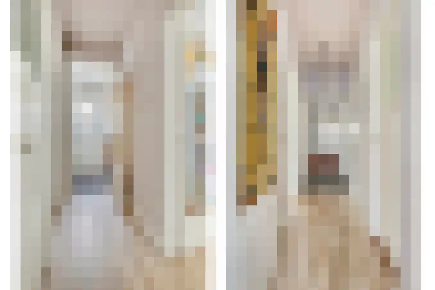 Pieter van den Zandestraat 26 Den Haag thumbnail 19