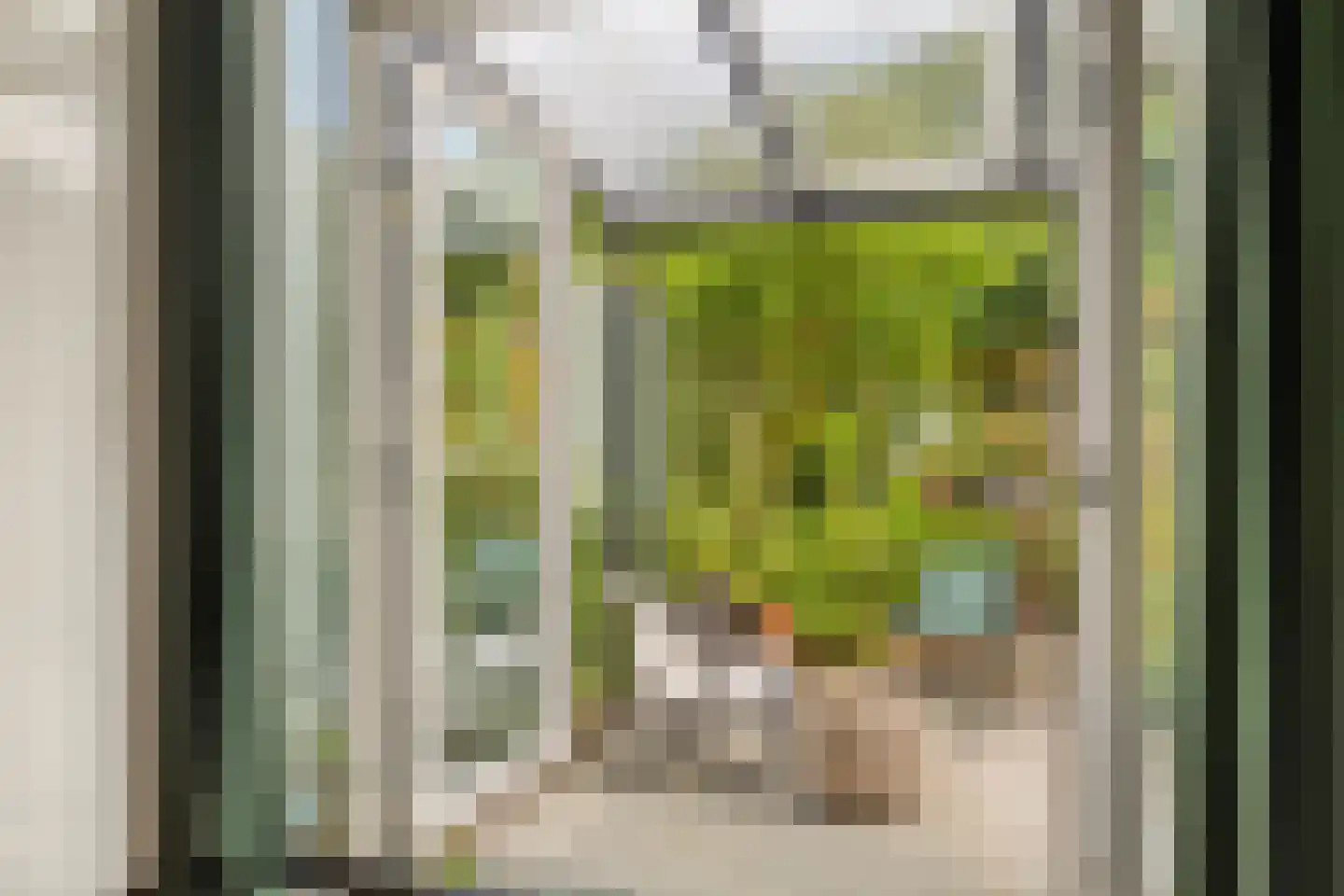 Pieter van den Zandestraat 26 Den Haag thumbnail 20