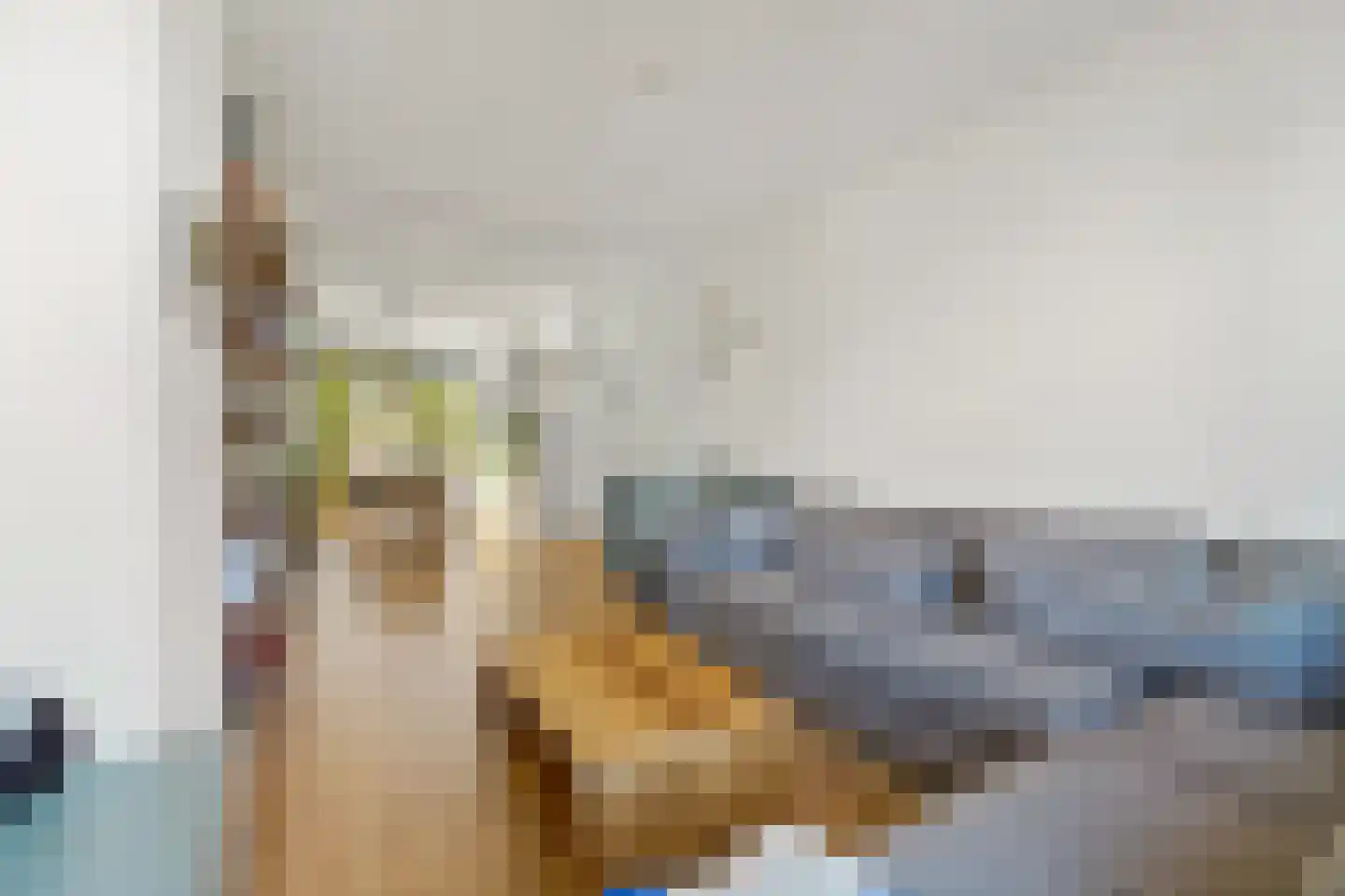 Pieter van den Zandestraat 42 Den Haag thumbnail 6