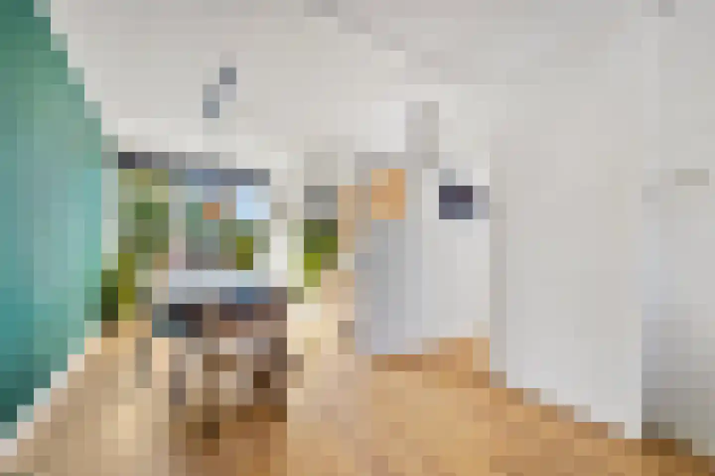 Pieter van den Zandestraat 42 Den Haag thumbnail 8