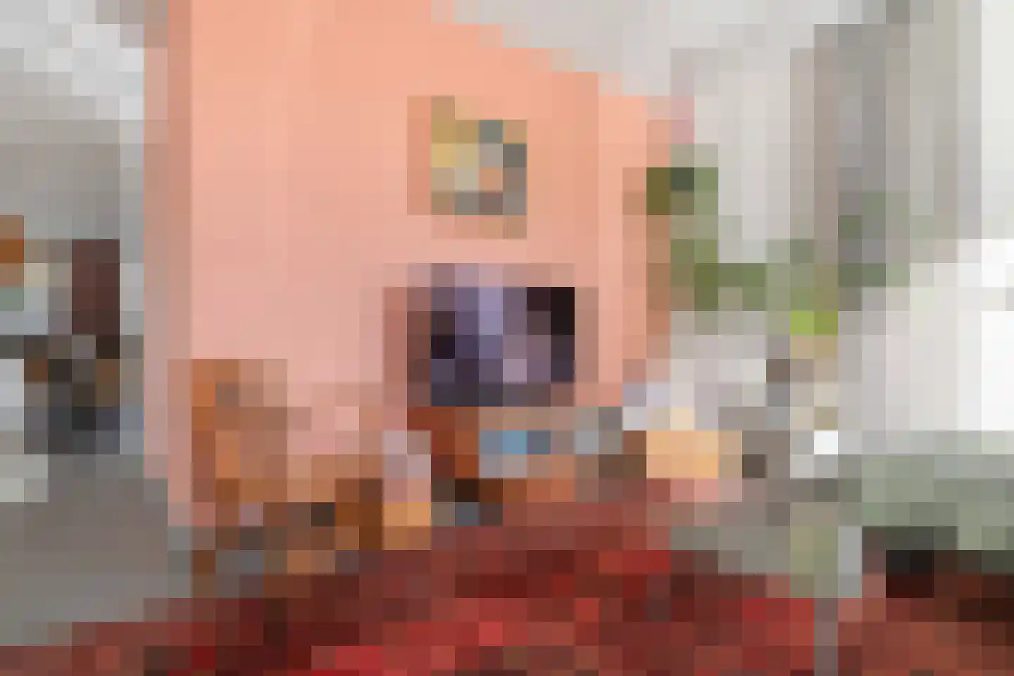 Pieter van der Deurelaan 1 A Den Helder thumbnail 20