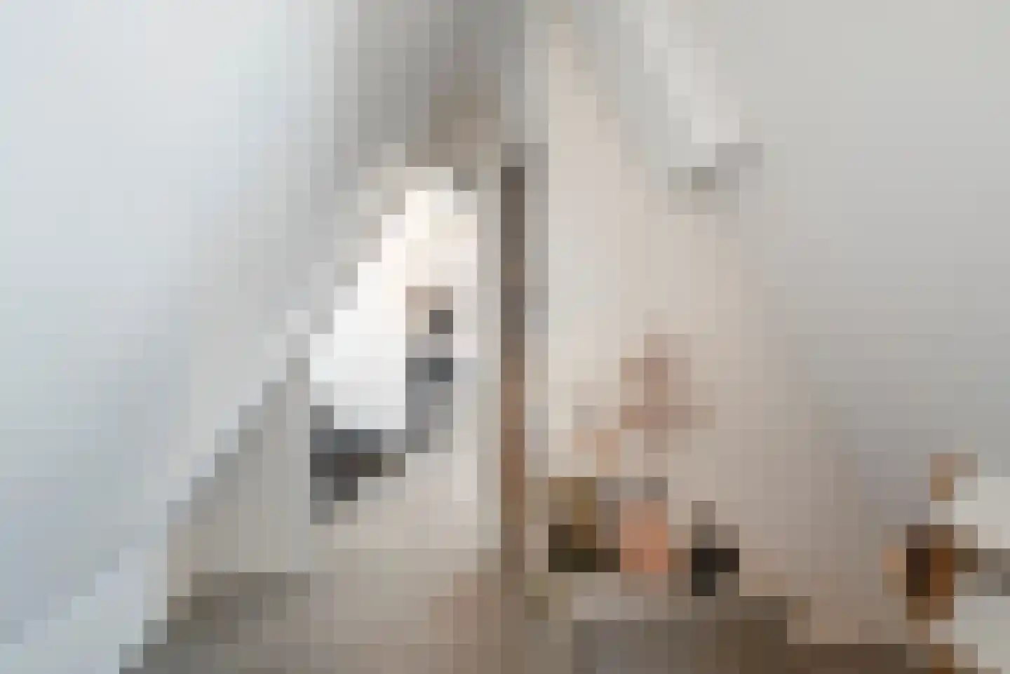 Pieter van der Deurelaan 1 A Den Helder thumbnail 62