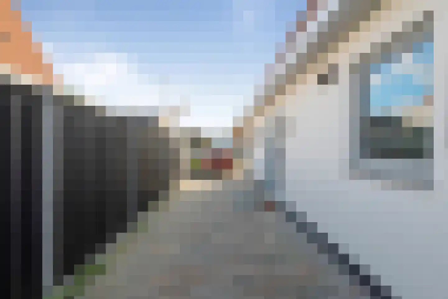 Pieter van der Deurelaan 1 A Den Helder thumbnail 8