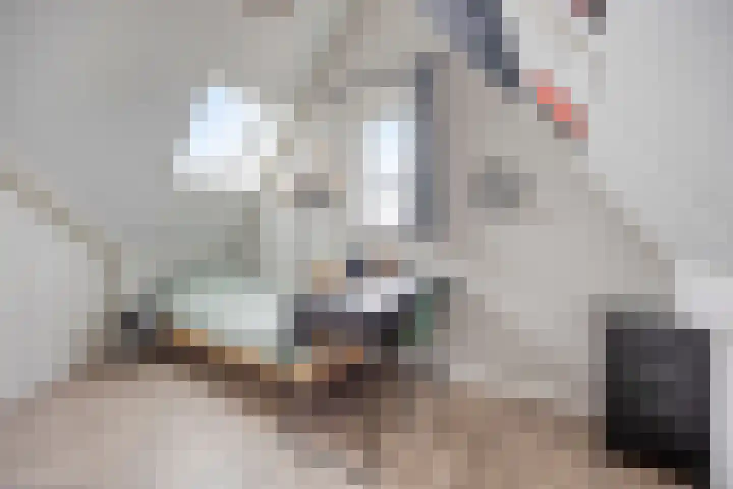 Pieter van der Doesstraat 1 Oud-Beijerland thumbnail 27