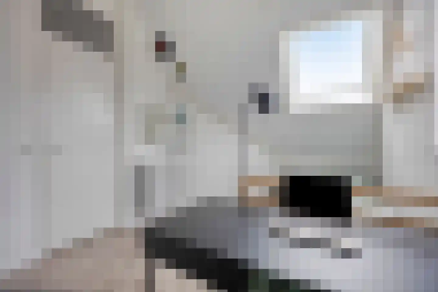 Pieter van der Doesstraat 1 Oud-Beijerland thumbnail 28
