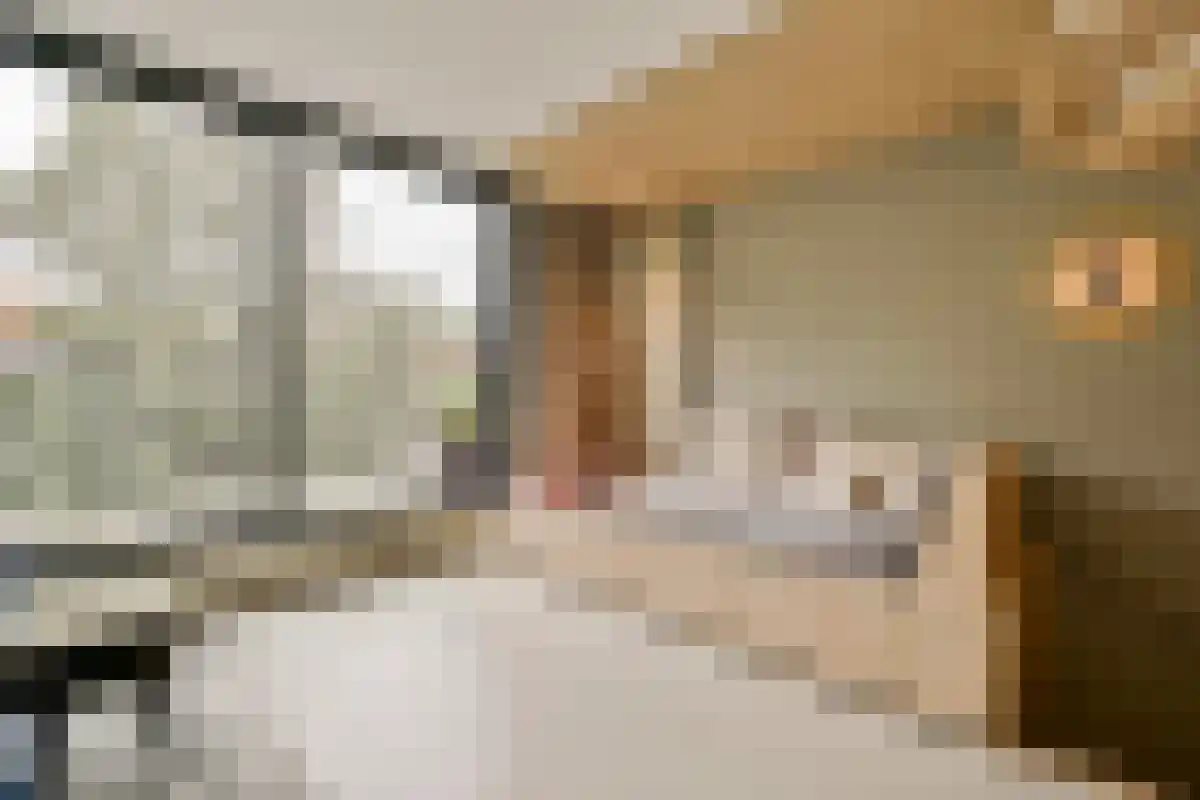 Pieter van der Doesstraat 34 Amsterdam thumbnail 5