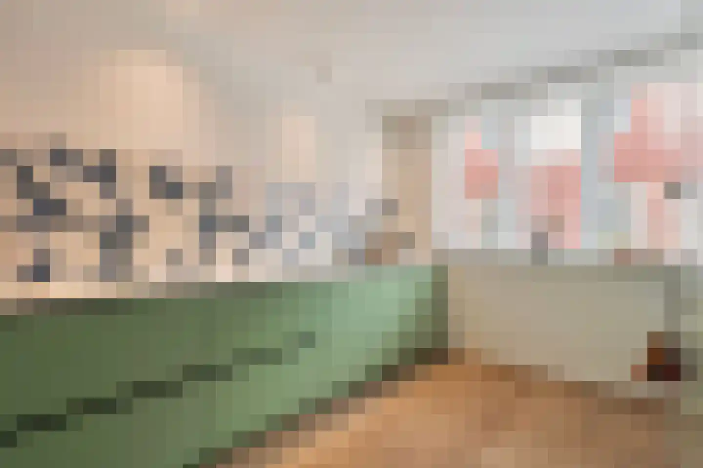 Pieter van der Doesstraat 6 Oud-Beijerland thumbnail 21