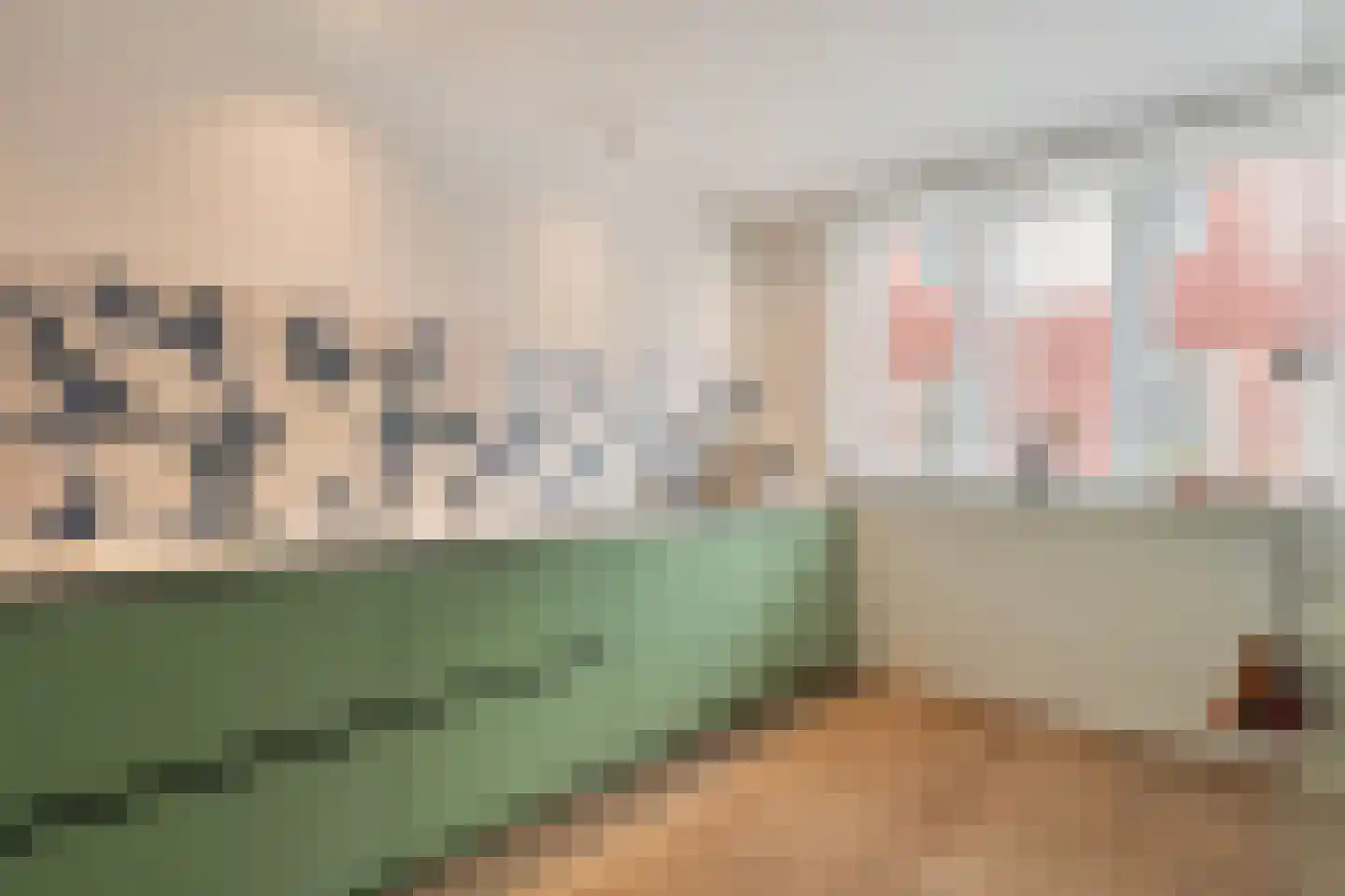 Pieter van der Doesstraat 6 Oud-Beijerland thumbnail 21