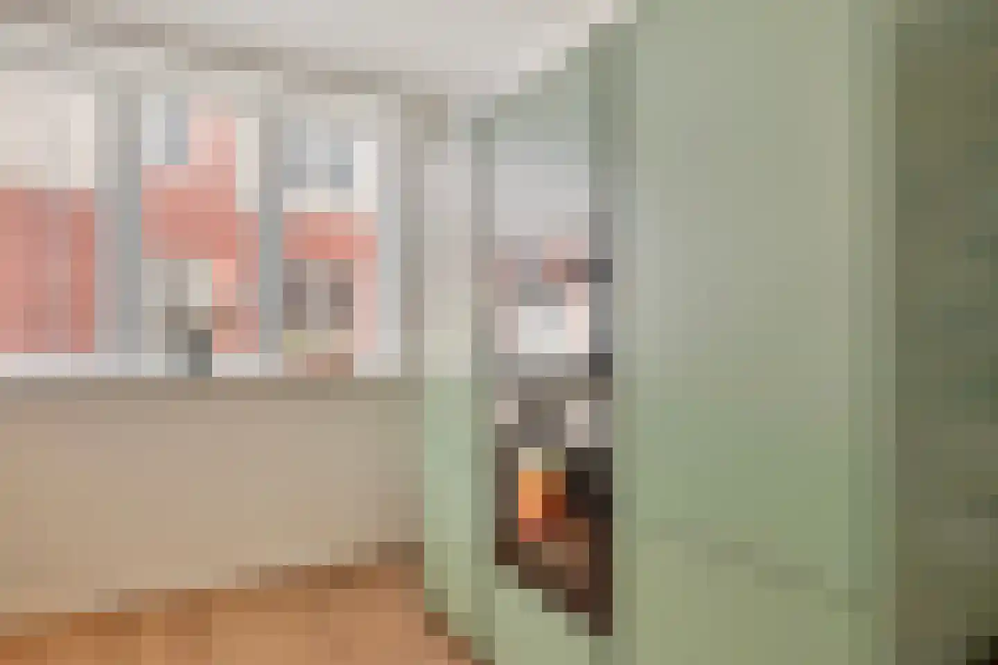 Pieter van der Doesstraat 6 Oud-Beijerland thumbnail 24