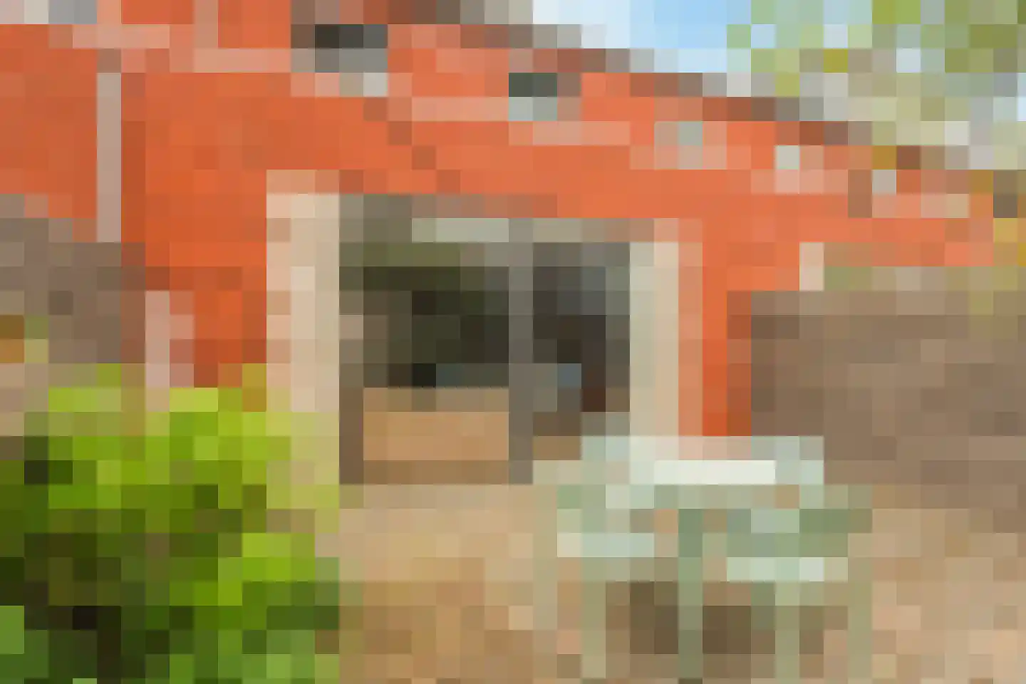 Pieter van der Doesstraat 6 Oud-Beijerland thumbnail 44
