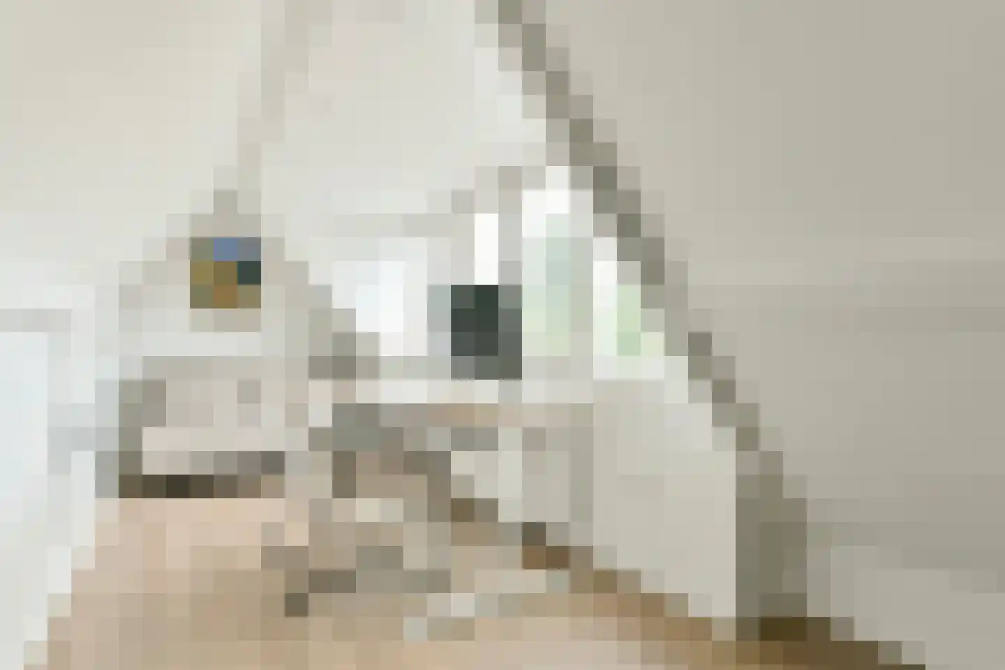 Pieter van der Doesstraat 68 2 Amsterdam thumbnail 29