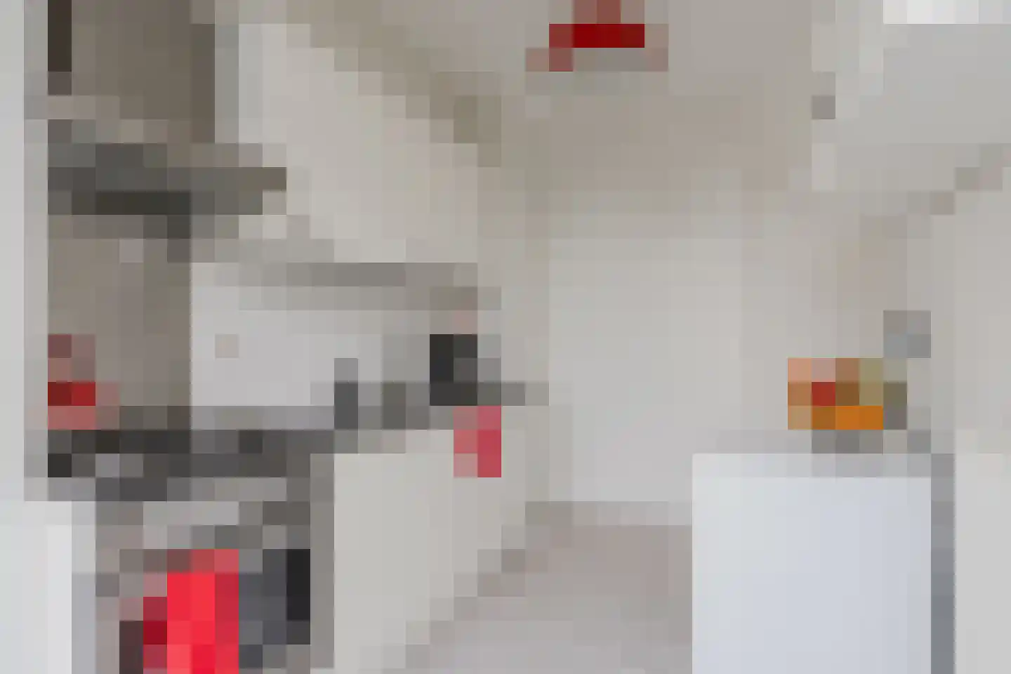 Pieter van der Doesstraat 9 2 Amsterdam thumbnail 23