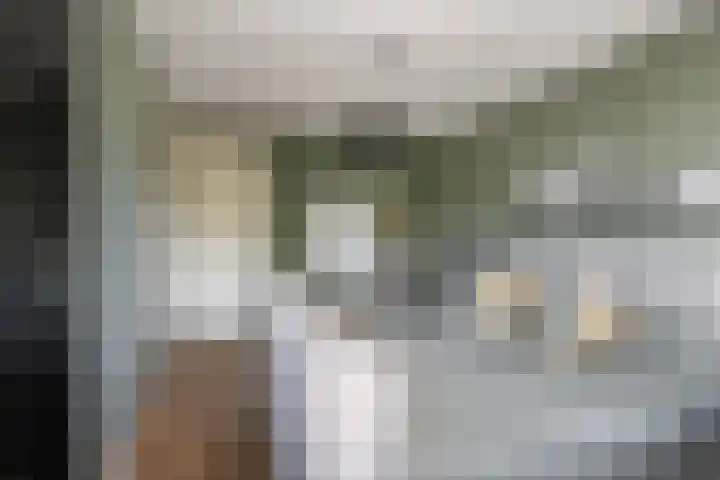 Pieter van der Kuijstraat 13 Schiedam thumbnail 19