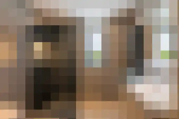 Pieter van der Kuijstraat 13 Schiedam thumbnail 27