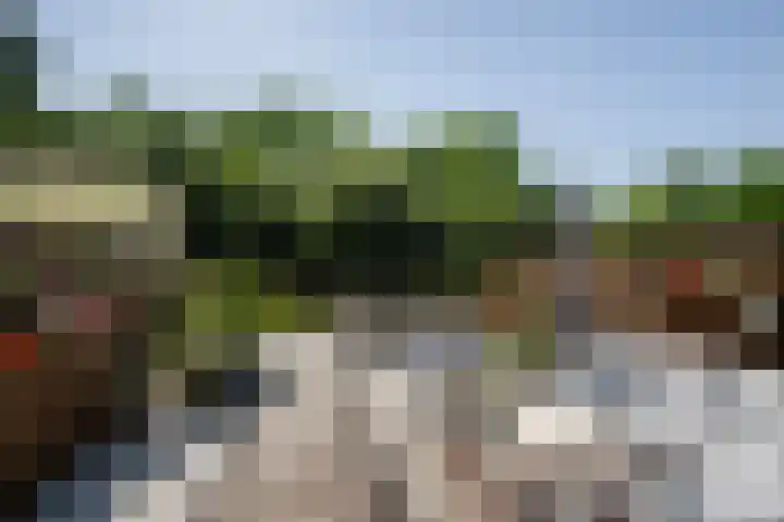 Pieter van der Kuijstraat 13 Schiedam thumbnail 4