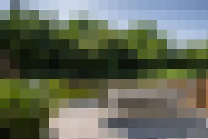 Pieter van der Kuijstraat 13 Schiedam thumbnail 5