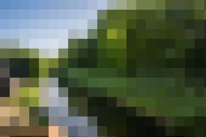 Pieter van der Kuijstraat 13 Schiedam thumbnail 6