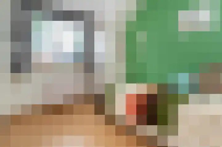 Pieter van der Leelaan 10 Kortenhoef thumbnail 12