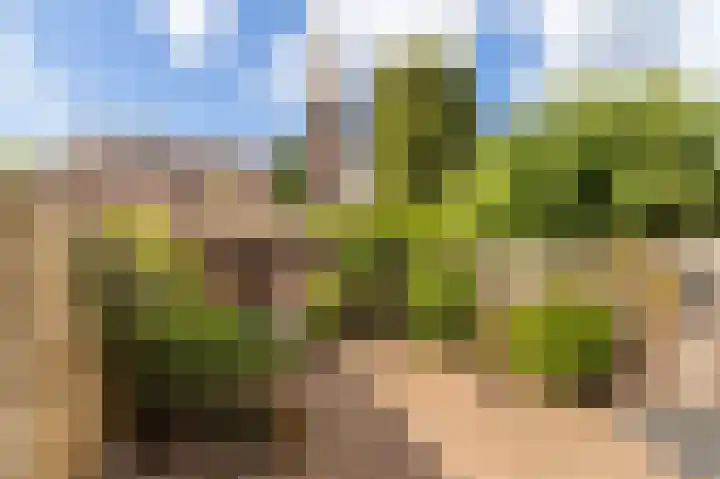 Pieter van der Leelaan 10 Kortenhoef thumbnail 20
