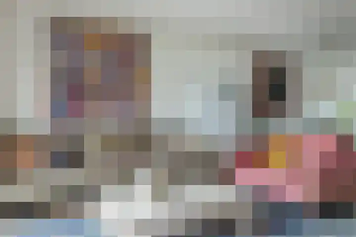 Pieter van der Meulenhof 13 Amsterdam thumbnail 13