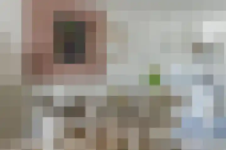 Pieter van der Meulenhof 13 Amsterdam thumbnail 16
