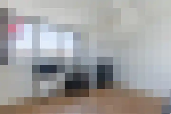 Pieter van der Meulenhof 13 Amsterdam thumbnail 29