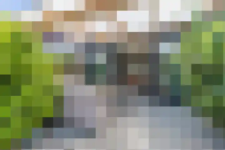 Pieter van der Meulenhof 13 Amsterdam thumbnail 31