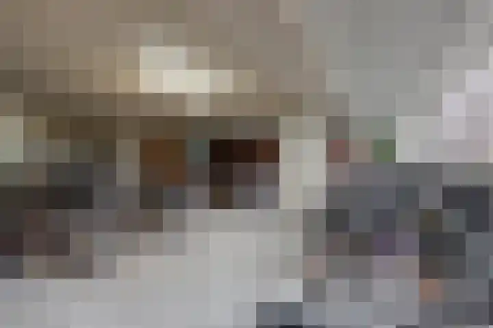 Pieter van der Werfstraat 93 Amsterdam thumbnail 37