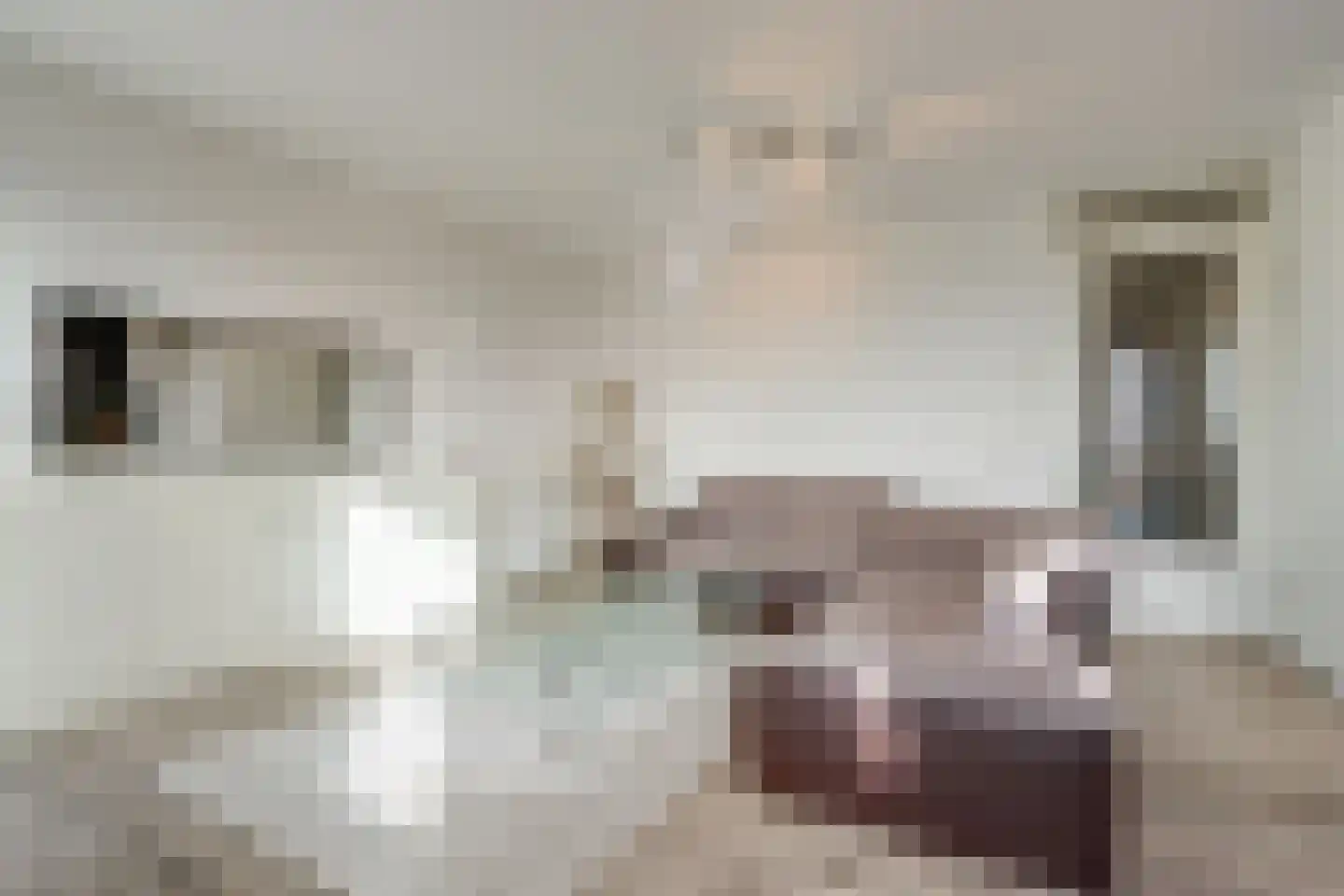 Pieter van der Werfstraat 93 Amsterdam thumbnail 9