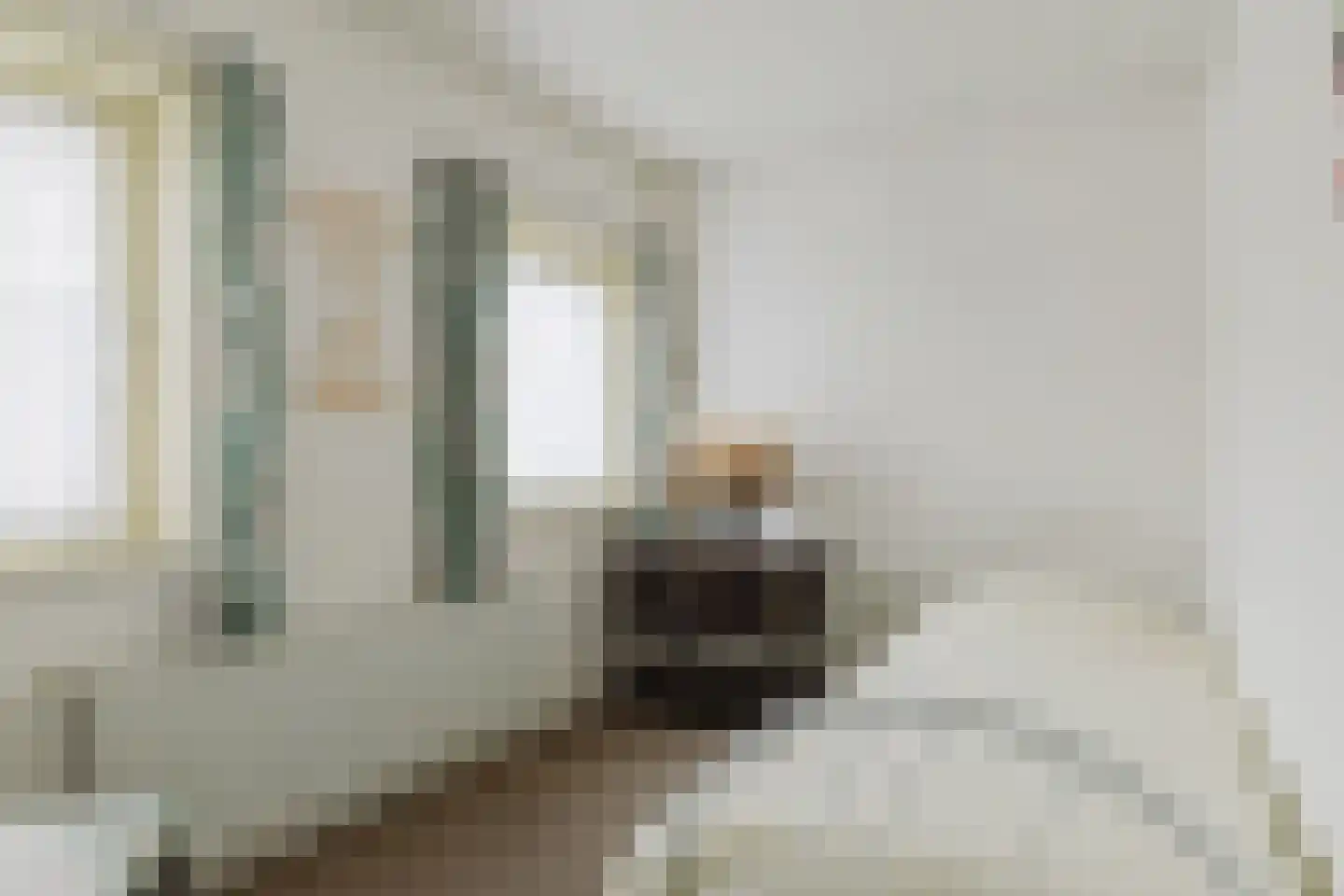 Pieter van Ginnekenstraat 15 Zundert thumbnail 32