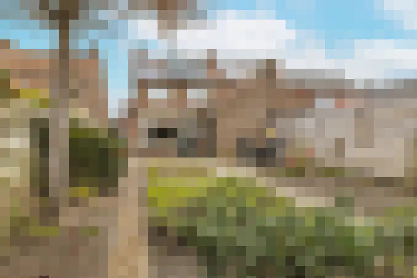 Pieter van Ginnekenstraat 15 Zundert thumbnail 44