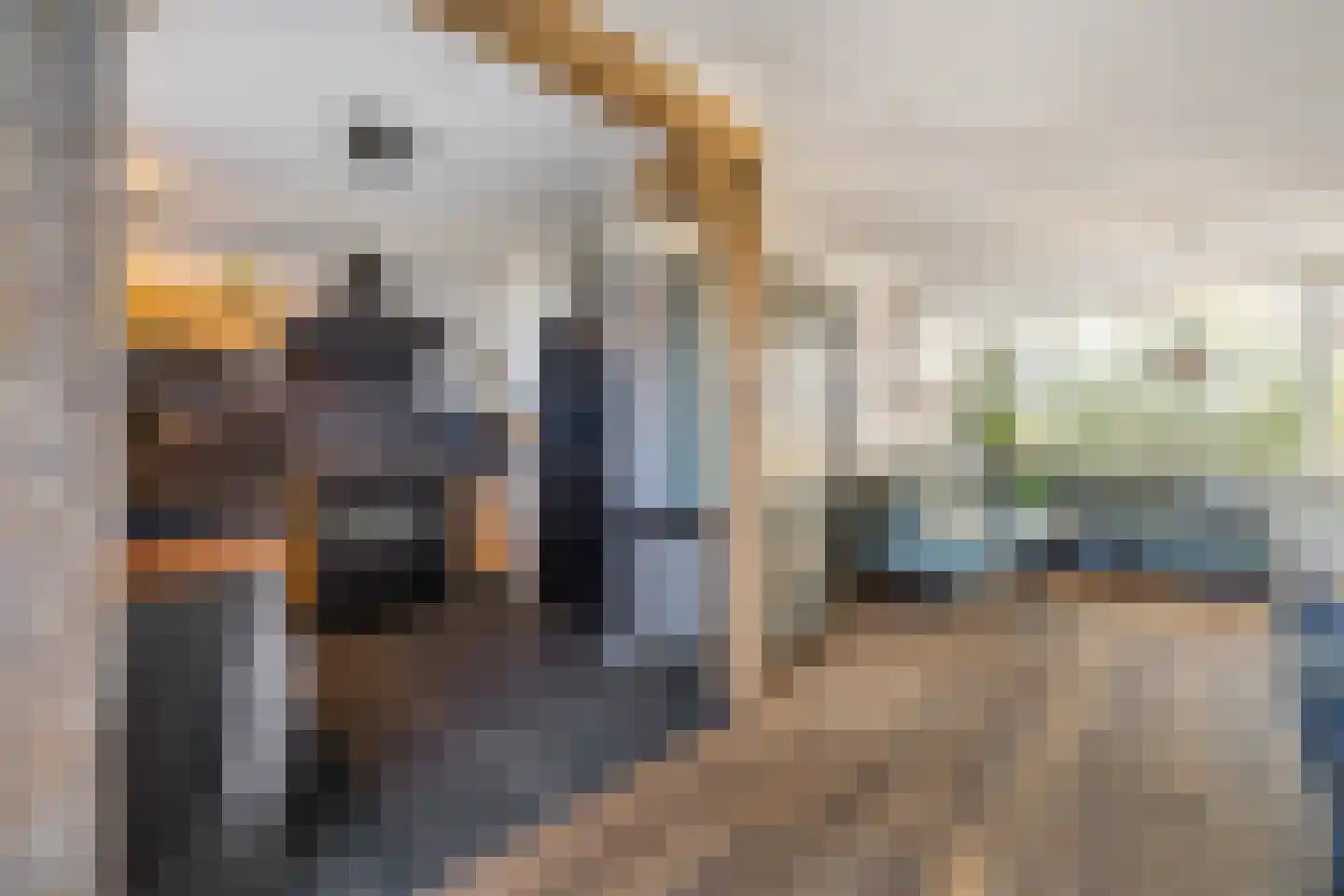 Pieter van Ginnekenstraat 19 Teteringen thumbnail 17