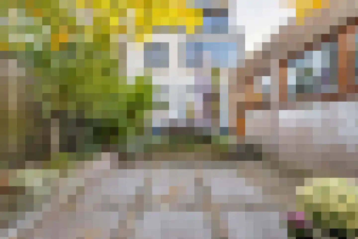 Pieter van Ginnekenstraat 19 Teteringen thumbnail 40