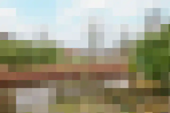 Pieter van Hemerenplantsoen 8 Hoogmade thumbnail 10