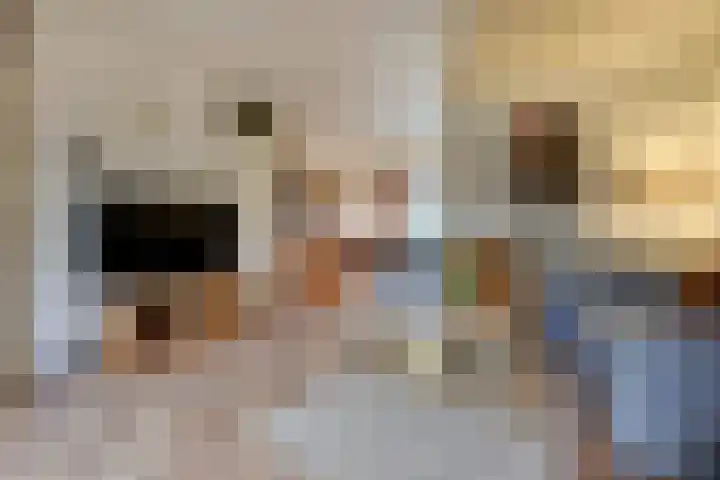 Pieter van Hemerenplantsoen 8 Hoogmade thumbnail 19