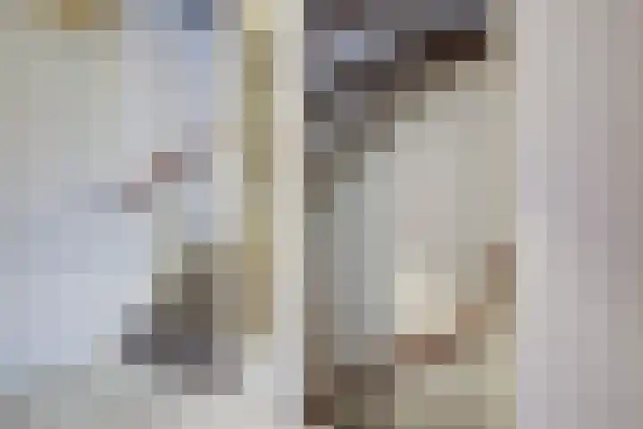 Pieter van Hemerenplantsoen 8 Hoogmade thumbnail 33
