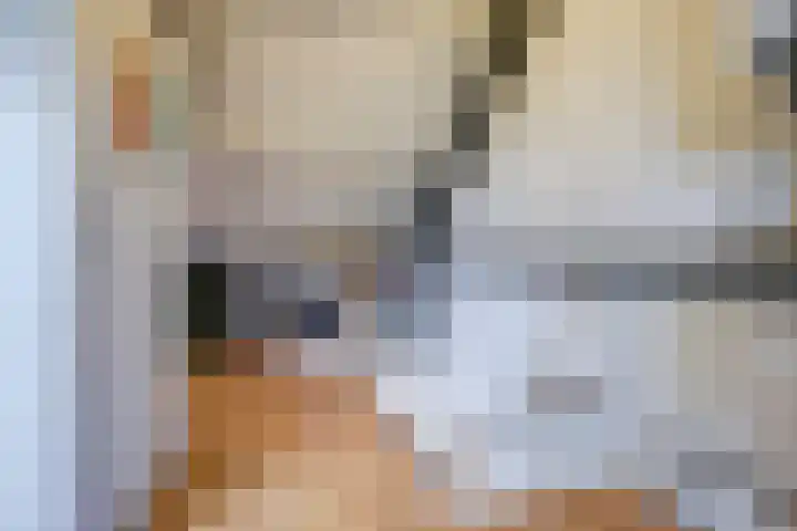 Pieter van Hemerenplantsoen 8 Hoogmade thumbnail 35