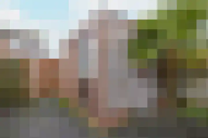 Pieter van Hemerenplantsoen 8 Hoogmade thumbnail 44