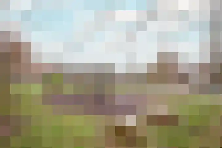 Pieter van Hemerenplantsoen 8 Hoogmade thumbnail 47