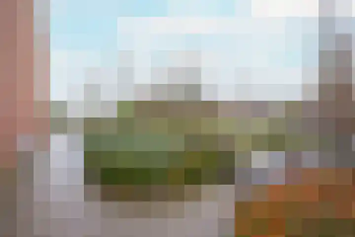 Pieter van Hemerenplantsoen 8 Hoogmade thumbnail 48