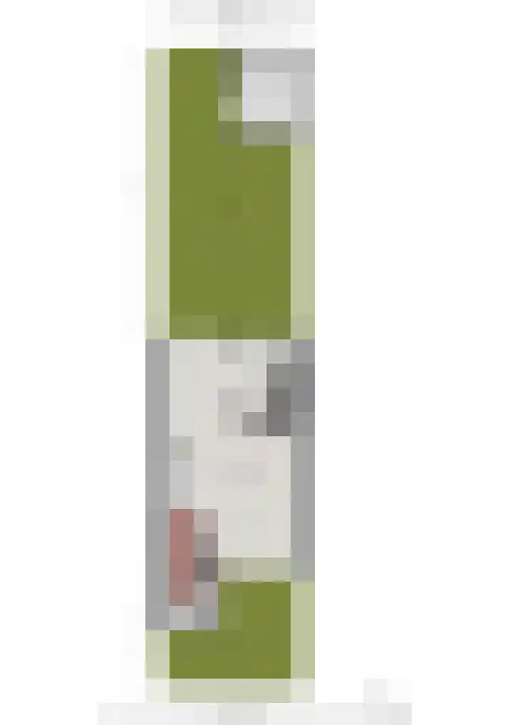 Pieter van Hemerenplantsoen 8 Hoogmade thumbnail 49