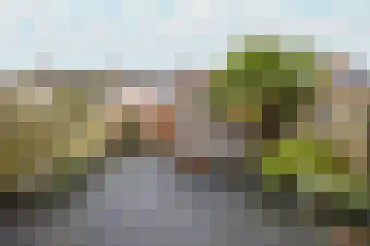 Pieter van Hemerenplantsoen 8 Hoogmade thumbnail 5