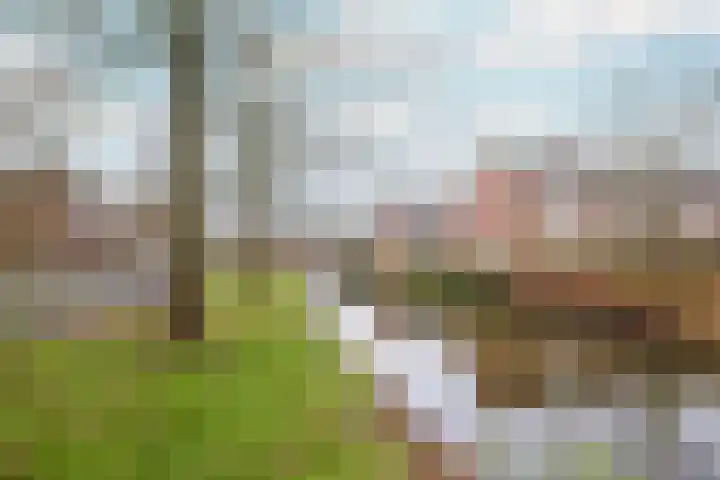 Pieter van Hemerenplantsoen 8 Hoogmade thumbnail 6