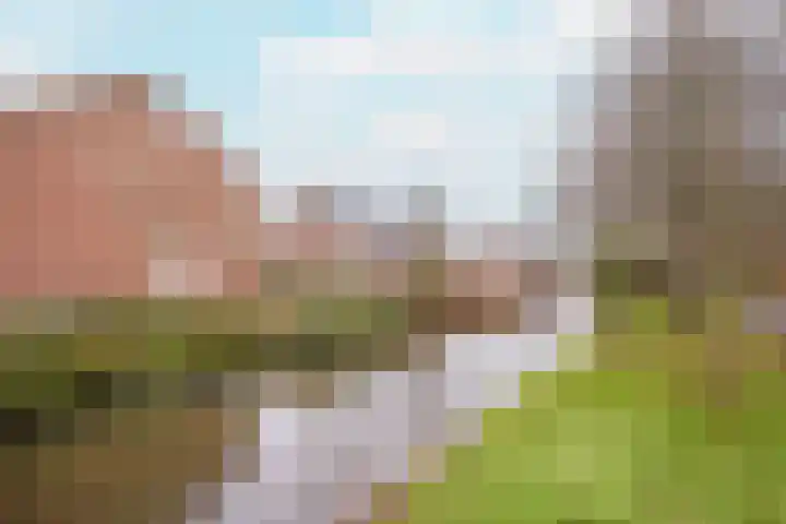 Pieter van Hemerenplantsoen 8 Hoogmade thumbnail 7