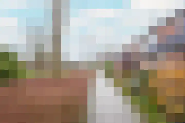 Pieter van Hemerenplantsoen 8 Hoogmade thumbnail 8