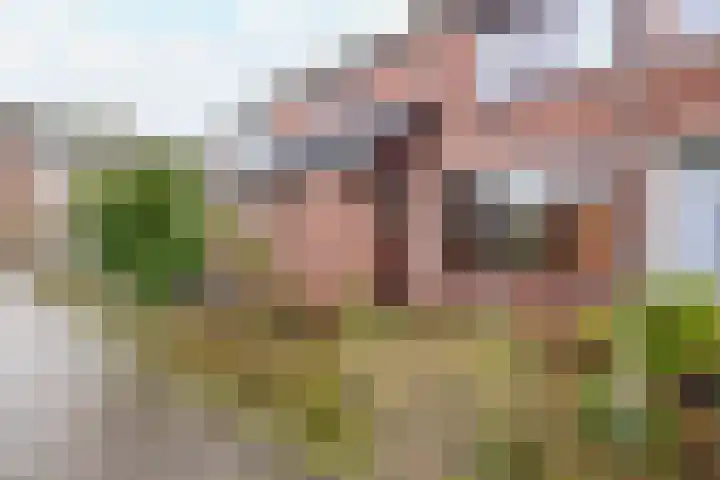 Pieter van Hemerenplantsoen 8 Hoogmade thumbnail 9