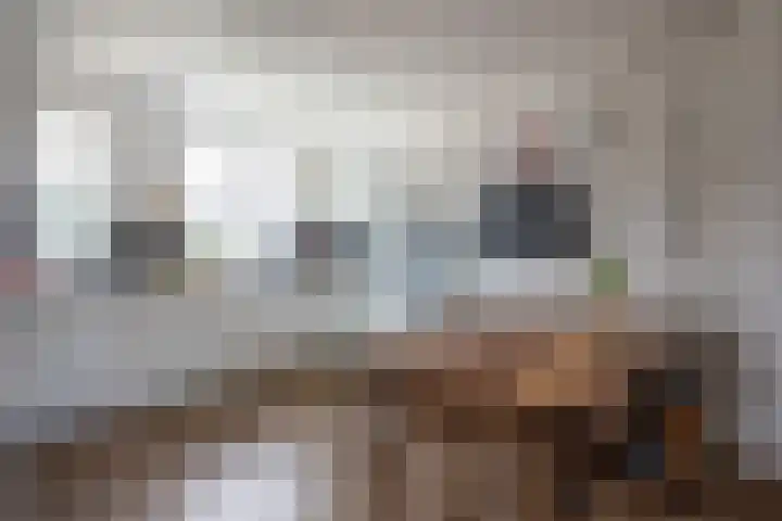 Pieter van Lisselaan 13 Aalsmeer thumbnail 12